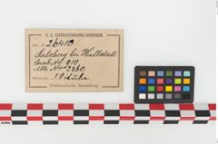 Etikett zu Bronzesitula (NHMW-PRAE-026410)